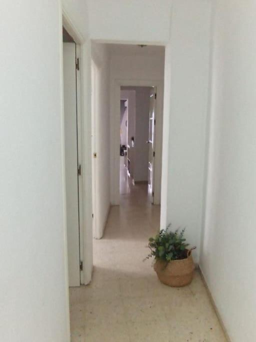 Apartamento Plaza Toros 세비야 외부 사진